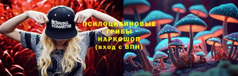 ссылка на мегу зеркало  Кущёвская  Псилоцибиновые грибы прущие грибы 